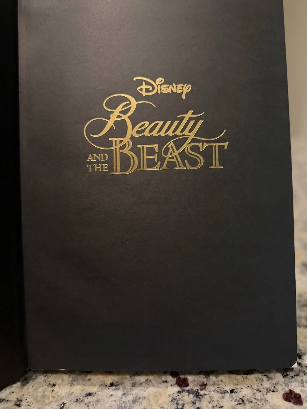 Disney Store Limited Product Beauty And The Beast Stained Glass Design Notebook